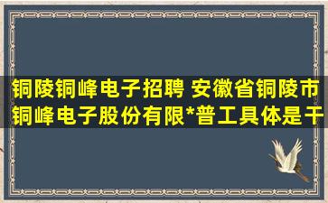铜陵铜峰电子招聘 安徽省铜陵市铜峰电子股份有限*普工具体是干什么的